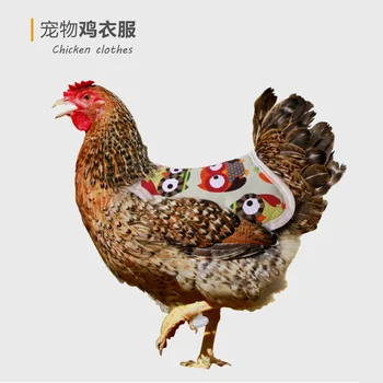 Одежда для кур, жилет для домашних цыплят, эластичная кружевная одежда для курицы, утки, гусиной грудки