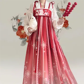 Китайское платье Hanfu Женское Традиционное Винтажное платье для косплея Hanfu с цветочным принтом кота, Элегантное платье для сценических танцев, Комплекты халатов Hanfu