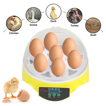 Мини-инкубатор для яиц, Птицеводческий инкубатор с регулируемой автоматической температурой, Фермерский инкубатор для цыплят, уток, Голубей, Брудершафт на 7 яиц